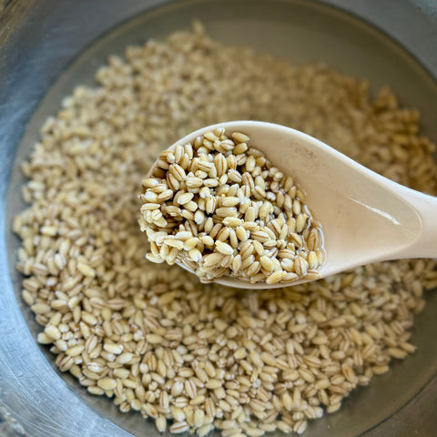 Why Soaking Nuts and Grains Matters: Enhancing Nutrient Absorption and Digestibility